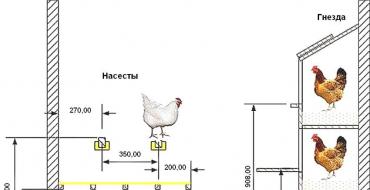 Kako izgraditi topli kokošinjac vlastitim rukama